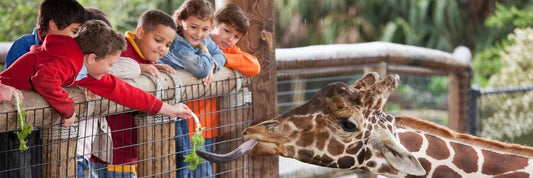 Guardias de seguridad en zoológicos y parques recreativos: cuidando personas y animales
