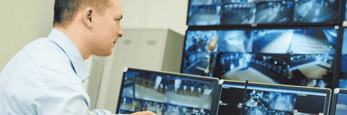 ¿Cuál es la diferencia entre vigilancia física y vigilancia remota en seguridad privada?
