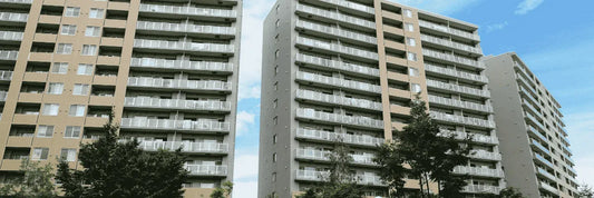 seguridad Festival de Viña 2025