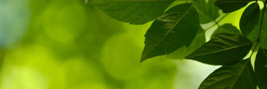 Parque Cerrillos: seguridad y uso del espacio público en 2025