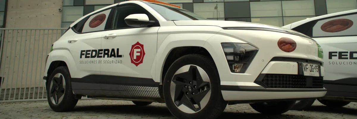 El robo del siglo: qué habría pasado si el recinto tuviera protocolos modernos de seguridad privada