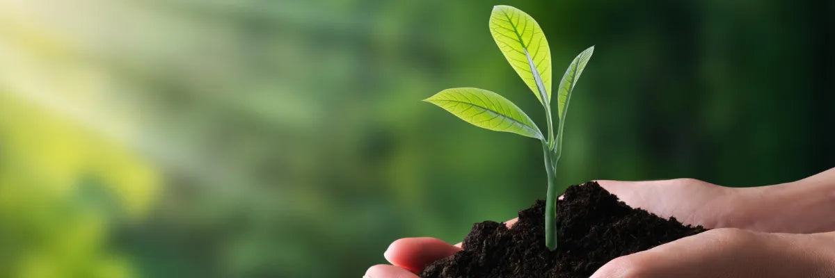 Sistema de seguridad y sostenibilidad: cómo proteger sin contaminar