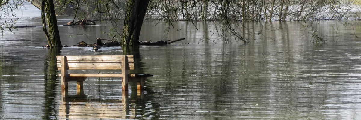 Monitoreo CCTV y desastres naturales: prevenir saqueos y proteger infraestructura crítica
