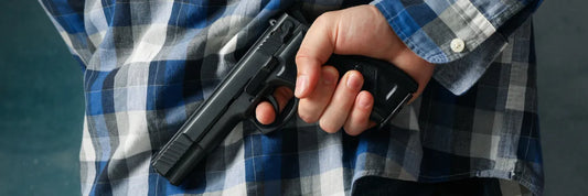  Ministerio de Seguridad Pública