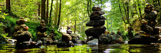 Destinos del sur de Chile ideales para vacaciones tranquilas en 2026