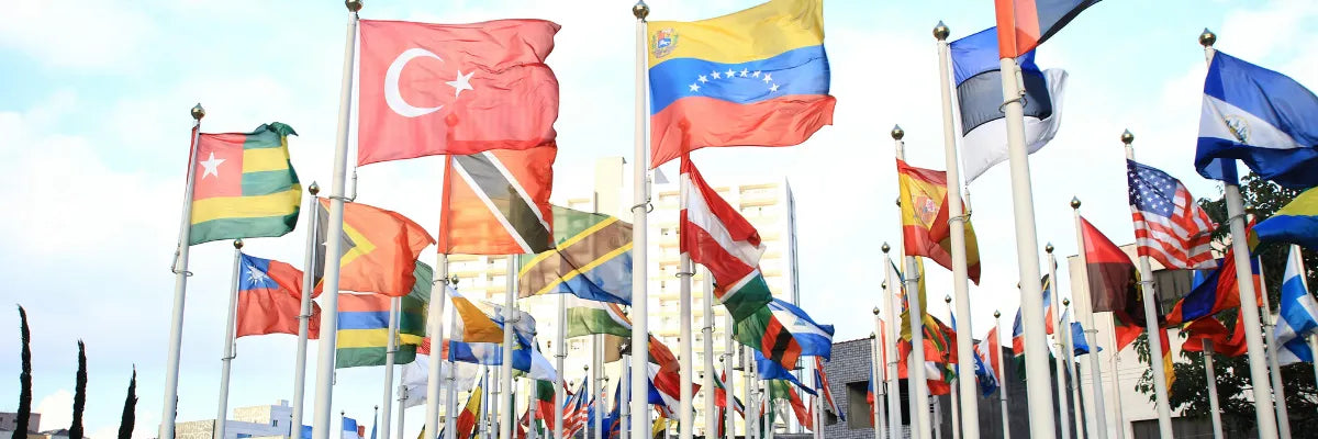 La importancia de los guardias de seguridad en embajadas y consulados