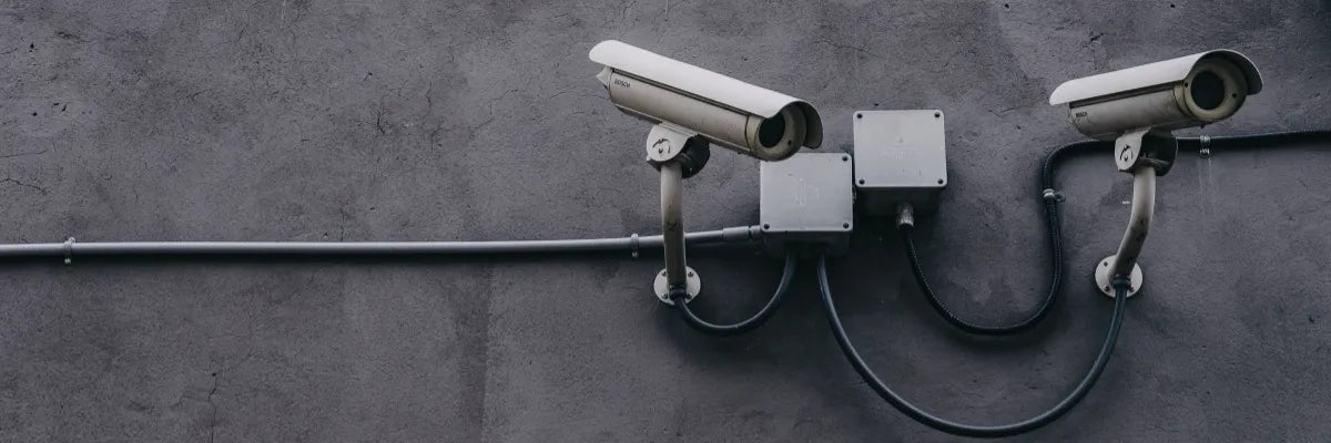 El valor del monitoreo CCTV en zonas rurales: protección de parcelas y faenas agrícolas