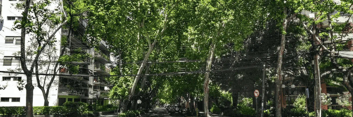 Capacitación continua: guardia de Las Condes listo para nuevos desafíos