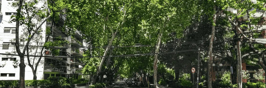 Capacitación continua: guardia de Las Condes listo para nuevos desafíos