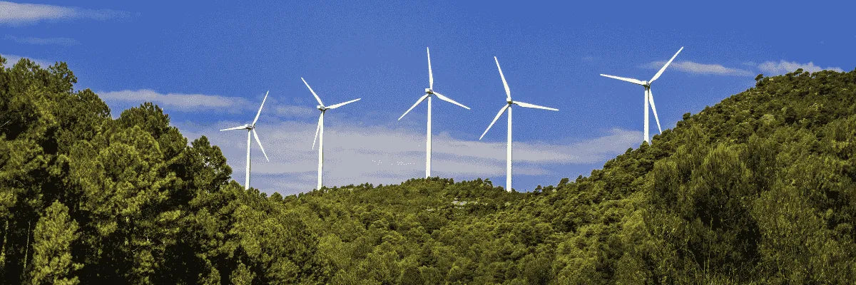 Prevención de delitos en zonas rurales: desafíos y soluciones actuales en 2025