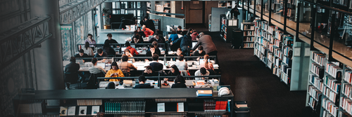 CCTV en bibliotecas: cuando la seguridad cuida el conocimiento