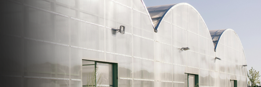 CCTV en invernaderos: seguridad para proteger cultivos y tecnología agrícola